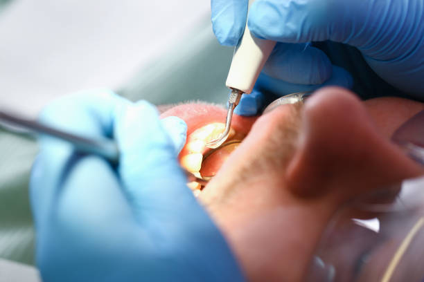 Best Dentist Open Late Near Me  in Wolfdale, PA